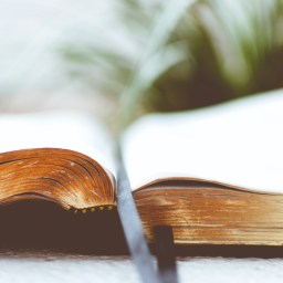 You Weren’t Created to Carry That Load