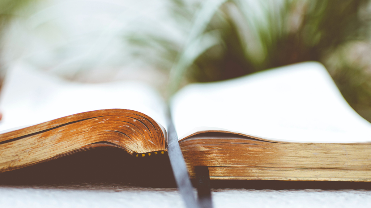 You Weren’t Created to Carry That Load